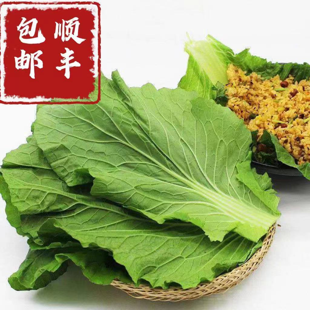 无品牌东北饭包白菜叶10片 20片大叶 顺丰包邮 到手价¥14.80